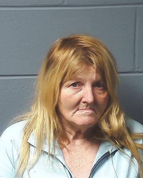Booking photo — LABO, SHEILA L