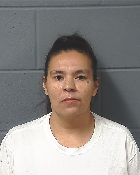 Booking photo — BEARHEART, BRIANNA L